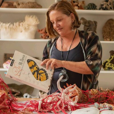 Artista Ilca Barcellos